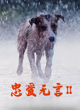 忠爱无言2